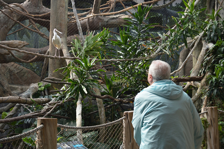 Lincoln Park Zoo 2026 7x5in - Brother Jim and Bird