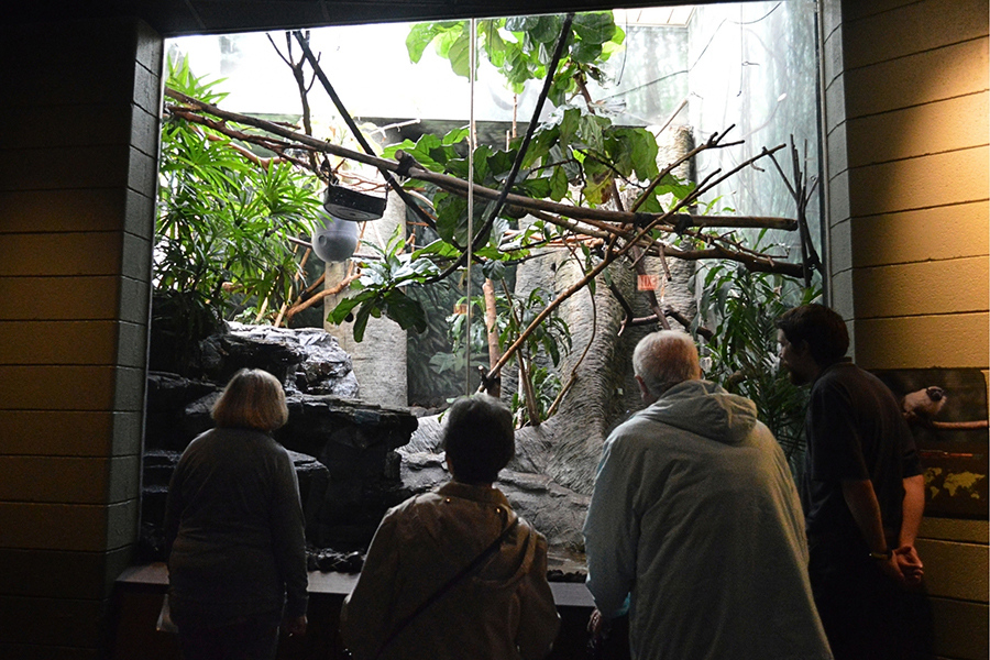 Lincoln Park Zoo 2026 7x5in - Monkey House 1