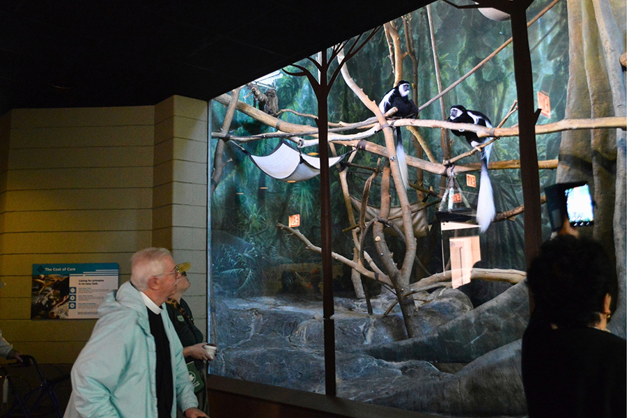 Lincoln Park Zoo 2026 7x5in - Monkey House Brother Jim